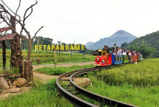 Konsisten Dorong Kemajuan Ekonomi Desa, BRI Raih Penghargaan pada Puncak Hari Desa Nasional 2026