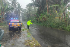 Tabrakan Beruntun RX King dan Truk di Ngluwar Magelang, Satu Pengendara Tewas