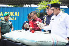 Geger Penyelundupan 90,2 Ton Kratom di Tanjung Emas Semarang Terbongkar! Gus Yasin Buka Suara