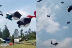 Angin Lisus Terbangkan 25 Tenda di Kalikajar Wonosobo, Sebagian Jatuh hingga 2 Kilometer