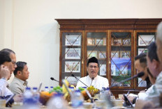 Mentan Amran: Tak Boleh Ada Lagi Hambatan, Perkuat Ekosistem BUMN Pangan untuk Hilirisasi