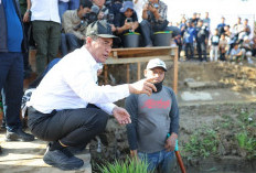 Mentan Amran: Padat Karya Kunci Pemulihan Pertanian Pascabencana, Petani Dilibatkan Langsung