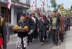Festival Tembakau Lembutan Bansari Jadi Harapan Baru Petani Temanggung di Tengah Problematika Tata Niaga
