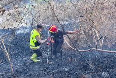 Kebakaran Hutan Gunung Merapi di Magelang Meluas, 5 Hektare Lahan Hangus Terbakar