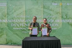 PT TWB dan PLN Icon Plus Kolaborasi Kembangkan Solar Panel di Kampung Seni Borobudur