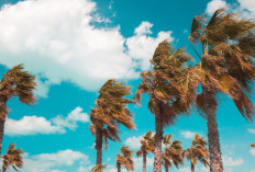 Angin Kencang Terjang Magelang, BNPB Edukasi Mitigasi Bencana