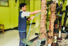 Olah Limbah MBG Jadi Ekoenzim, SMPN 7 Magelang Bidik Adiwiyata Jateng
