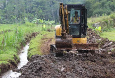 Pemkab Temanggung Kebut Pembangunan Jalan Baru di Gemawang Usai Longsor, Alat Berat Diterjunkan
