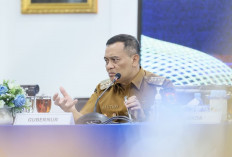 Baru Setengah Musim Produksi Padi di Jawa Tengah Tembus 4,6 Juta Ton