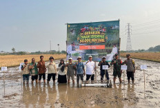 Tingkatkan Produktivitas, Kementan Gelar Tanam Serentak dengan Sistem PM-AAS