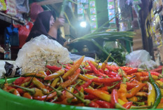 Harga Cabai di Kabupaten Temanggung Meroket hingga Rp80 Ribu, Pedagang: Tiga Minggu Naik Terus