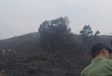 Kebakaran Hutan Gunung Sumbing Wonosobo Hanguskan 140 Hektar, Petugas Evakuasi Ratusan Pendaki