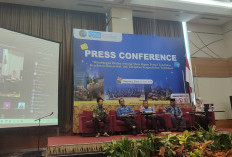 Luas Lahan Tembakau Temanggung Turun 5.000 Hektar dalam Empat Tahun, Petani Beralih ke Cabai dan Hortikultura