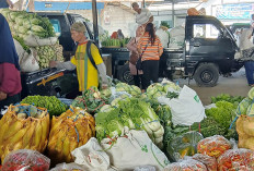 MBG Kembali Berjalan, Harga Sayuran di Pasar Sewukan Magelang Mulai Naik