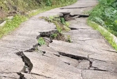 Diguyur Hujan, Jalan Utama Prumasan Wonosobo Retak dan Amblas