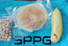 Kualitas MBG di Magelang Dikeluhkan, Anggaran Dipangkas, Menu Jadi Ala Kadarnya