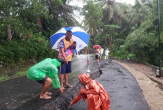 Retakan Parah Jalan Kaligesing Purworejo, Pemprov Jateng Siapkan Penanganan Permanen dengan Konstruksi Beton