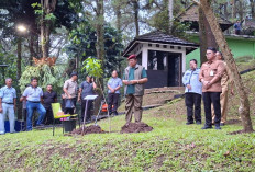 SBY Tanam Pohon di Taman Kyai Langgeng Kota Magelang, Serukan Aksi Nyata Atasi Pemanasan Global