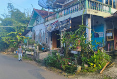 Gagal Mencuri, Pelaku Nekat Aniaya Pemilik Rumah di Desa Mudalrejo Loano Purworejo Jelang Subuh