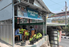 Lezat dan Ramah di Kantong, Ayam Kecap Pedas Jadi Kuliner Favorit Mahasiswa Untidar Magelang