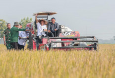 Produksi Padi Jateng Tembus 6,69 Juta Ton, Ahmad Luthfi Minta Bupati Petakan Potensi Kekeringan