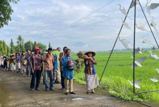 Festival Tumpeng Telang #7 Meriah, Pasar Inis Purworejo Rayakan 7 Tahun Bertahan di Tengah Tantangan