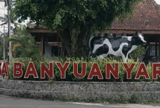 Intip Kisah Desa Banyuanyar, Desa Ramah Lingkungan yang Terus Maju Lewat Pemberdayaan Desa BRILiaN